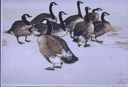 The Home Guard
